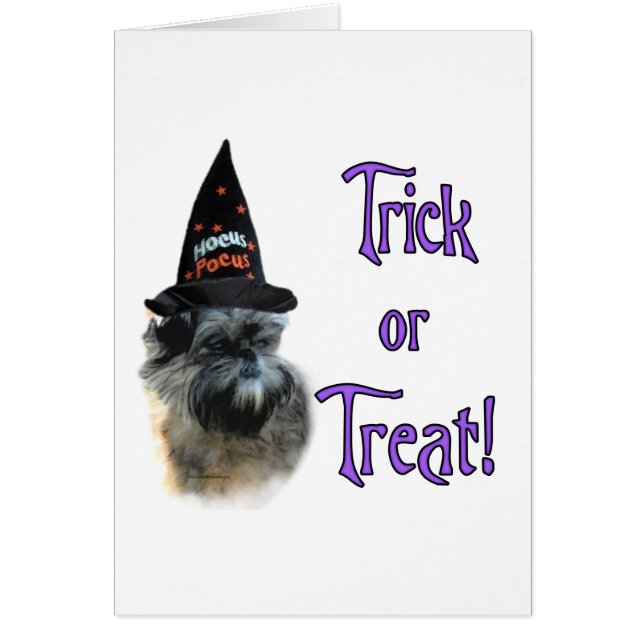 Affenpinscher Trick (Frente)