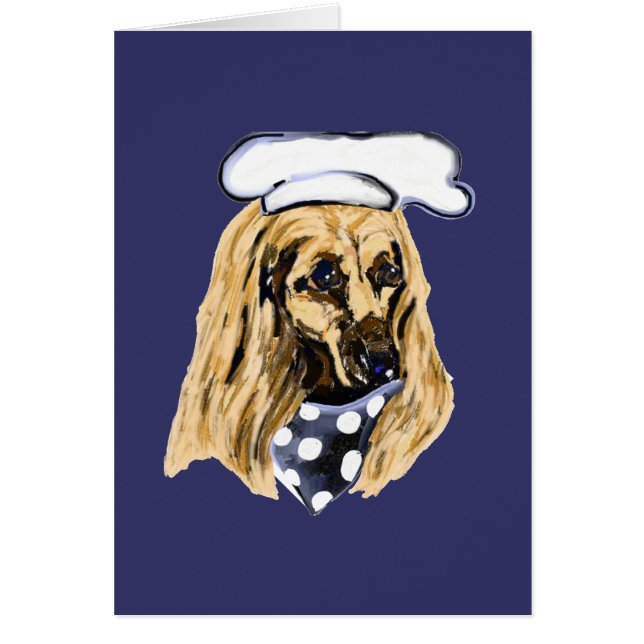 AFGHAN HOUND (Frente)