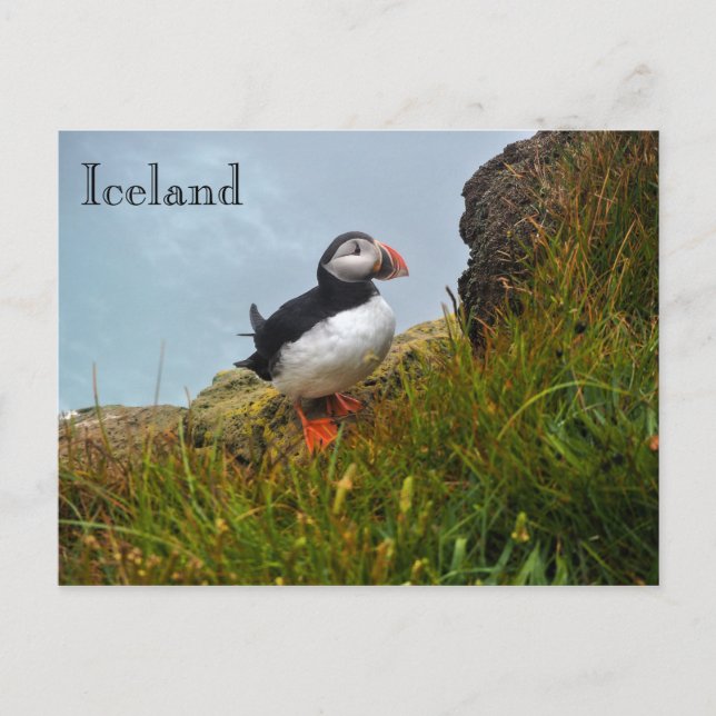 Afilón en un acantilado con postal de Islandia (Anverso)