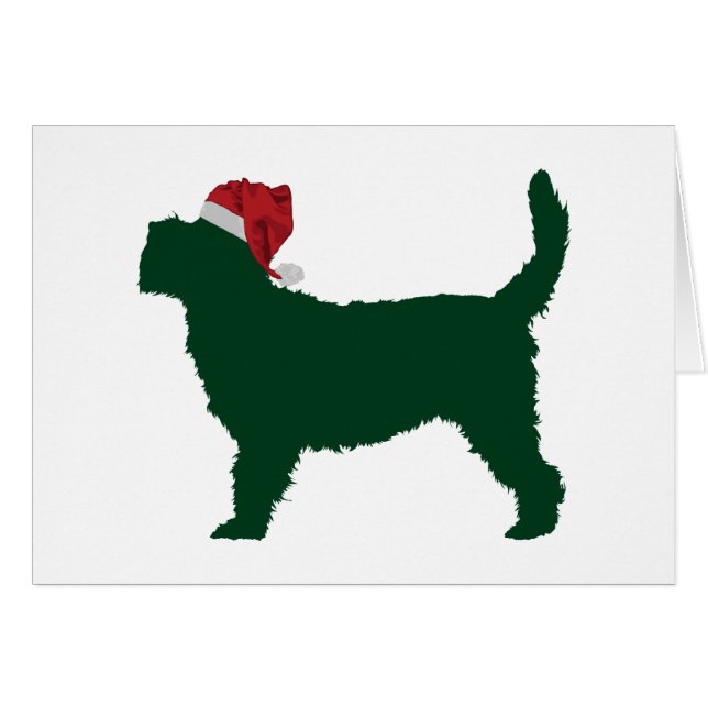 Afloramiento magnífico Griffon Vendeen (Anverso (Horizontal))