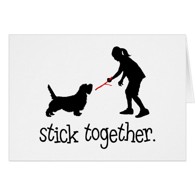 Afloramiento pequeno Griffon Vendeen (Anverso (Horizontal))