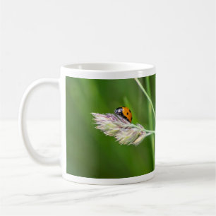 ¡Afortunada taza de café de mañana!