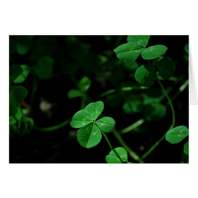 Afortunado (Anverso (Horizontal))