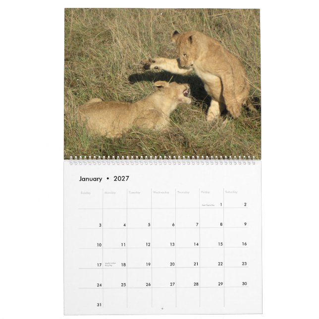 ÁFRICA - calendario 2014 (Dos-Página de millón de (Jan 2027)