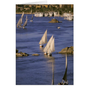África, Egipto, Alto Egipto, Asuán. Feluccas