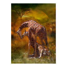 África - Giraffe - Poster de Arte Mundial/Imprimir