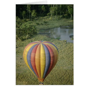 África, Kenia, Reserva Nacional Masai Mara, 3