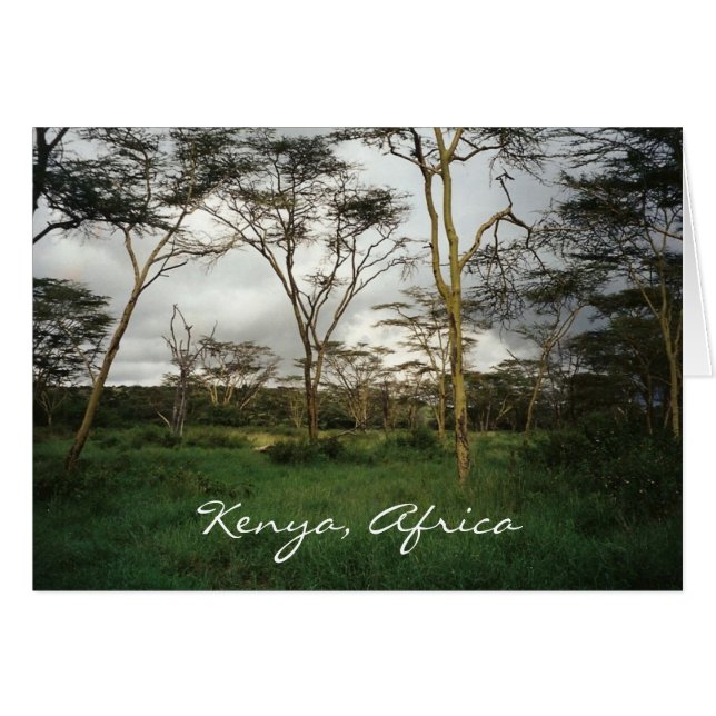 África Kenia tierra salvaje (Anverso (Horizontal))