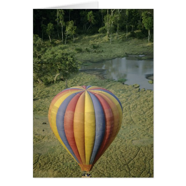 África, Kenya, Reserva Nacional Masai Mara, 3 (Frente)