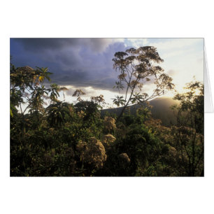 África, Tanzania, Área de Conservación de Ngorongo