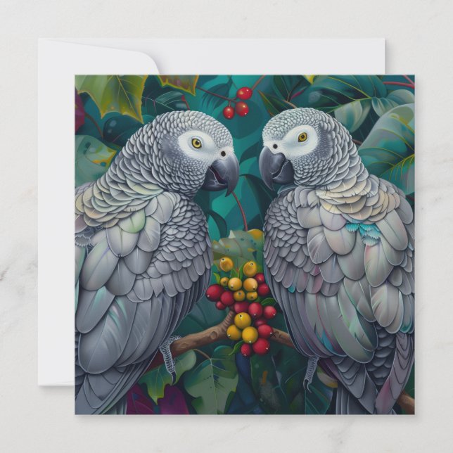 African Grey Persimmon-Berry Duet (Anverso)