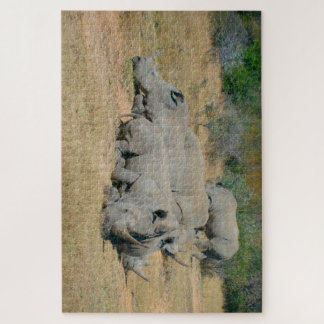 African Rhino Family Resting Puzzle