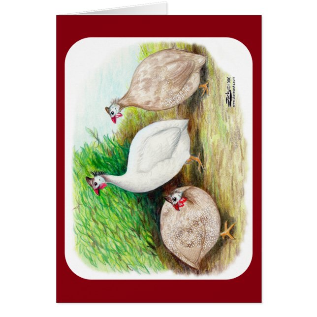 Afuera de Guinea (Frente)