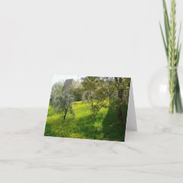 Afuera de las murallas de San Gimignano Tarjeta de