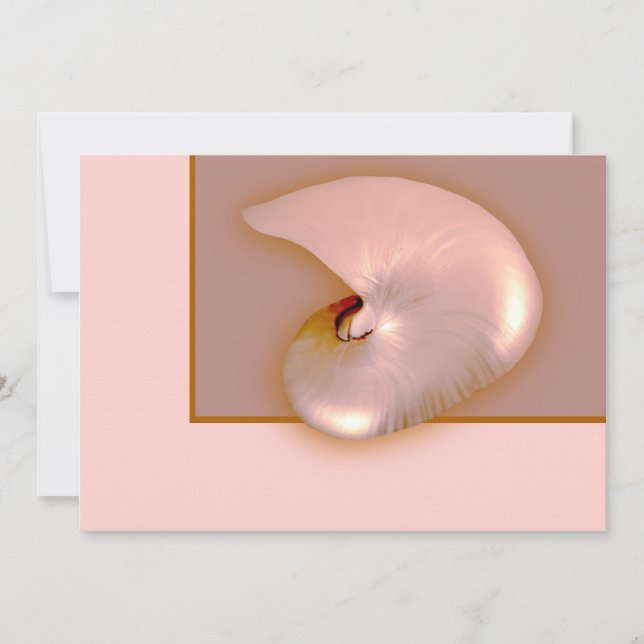 Afuera de Nautilus (Anverso)