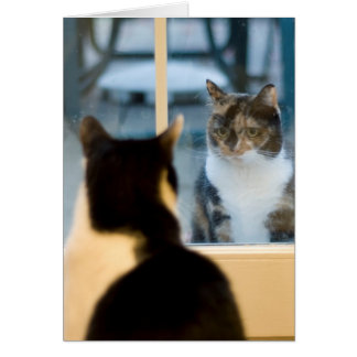 Afuera Mirando hacia dentro