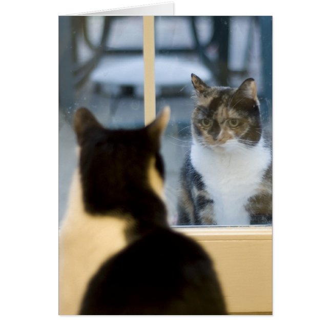 Afuera Mirando hacia dentro (Frente)