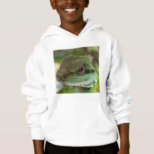 Agama, lagarto