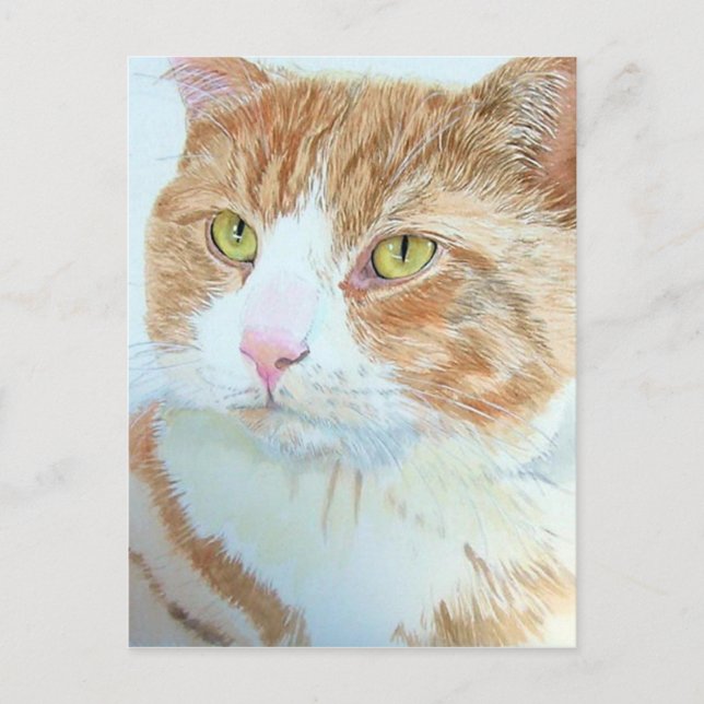 Agarra la postal del gato (Anverso)