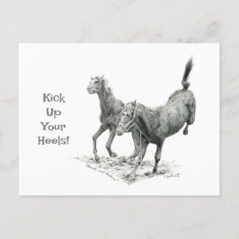 Agarra los talones después de cruzar la postal