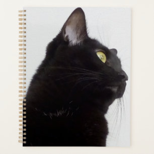 Agenda