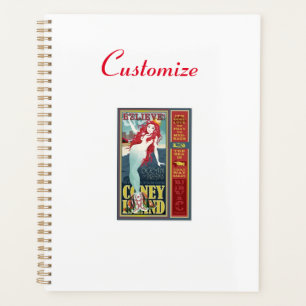 Agenda 2 sirenas de coney Island