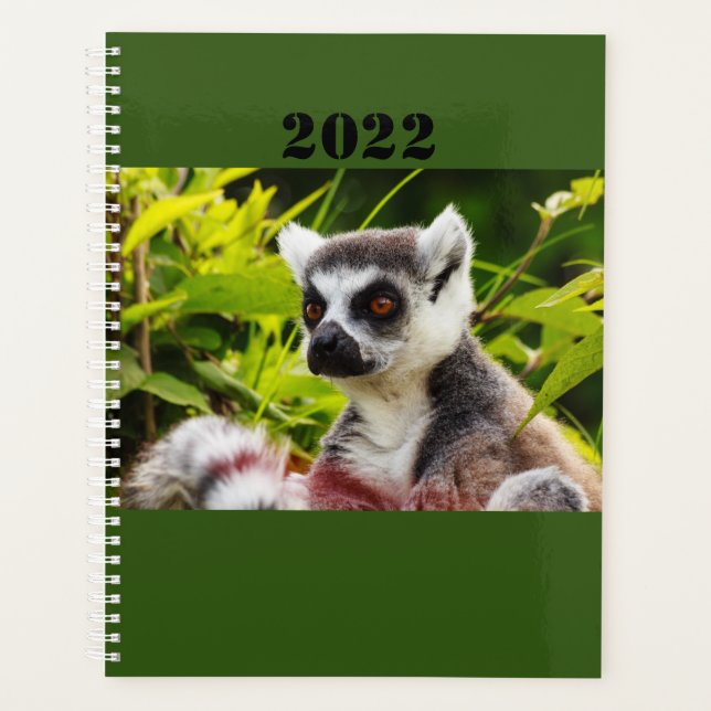 Agenda a lemur of Madagascar on planner (Anverso)