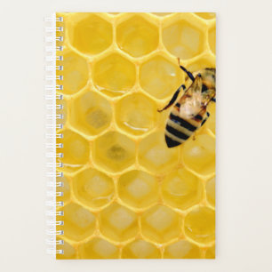 Agenda abeja y abeja