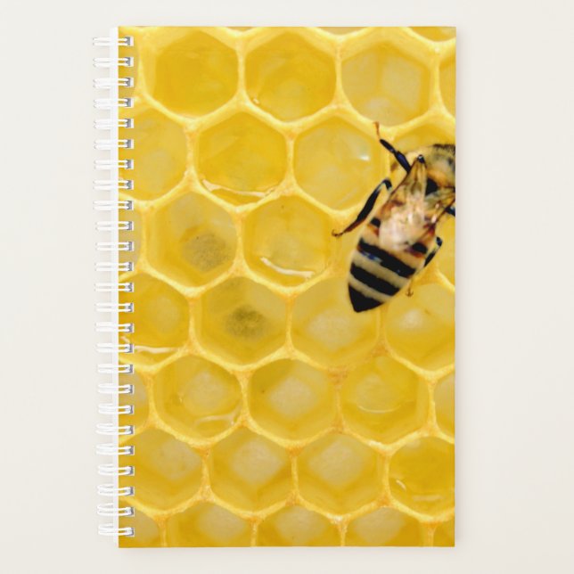 Agenda abeja y abeja (Anverso)