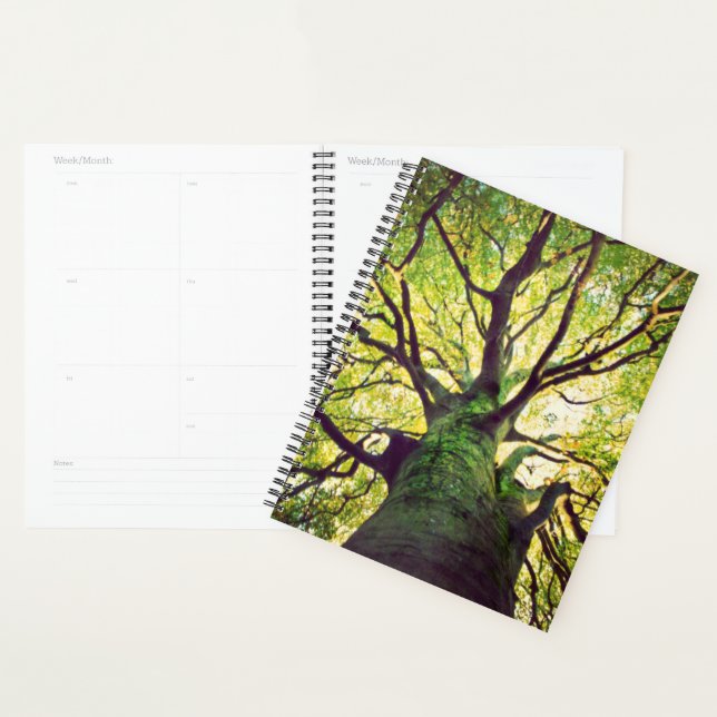 Agenda Abrazo de árbol (Demostración)