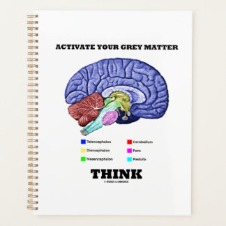 Agenda Activar tu materia gris pensar cerebro anatómico