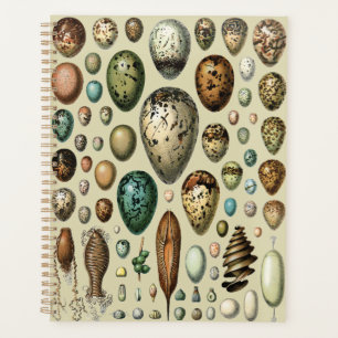 Agenda Adolphe Millot Dark Academia Arte Vintage de Huevo