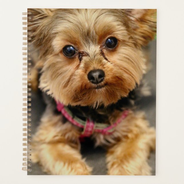 Agenda Adorable (Anverso)
