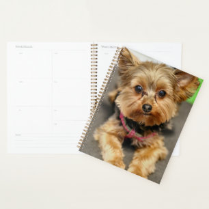 Agenda Adorable