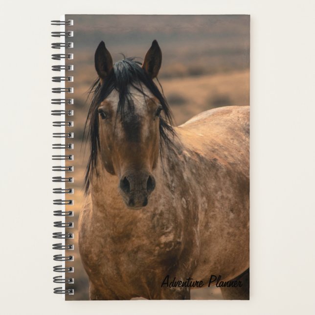 Agenda Adventure Planner con Sir Behr (Anverso)