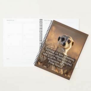 Agenda Adventurous Meerkat Living