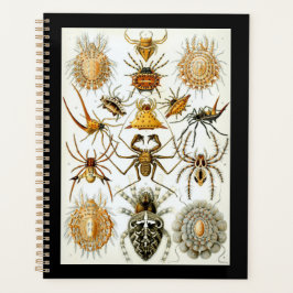 Agenda Afiche de Ernest Haeckel