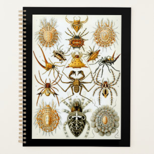 Agenda Afiche de Ernest Haeckel