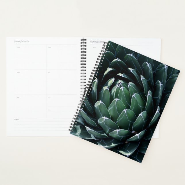 Agenda Agave verde (Demostración)