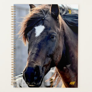 Agenda AHT Horse Rescue