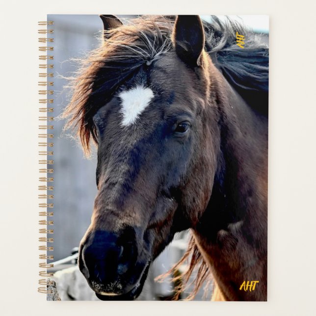 Agenda AHT Horse Rescue (Anverso)