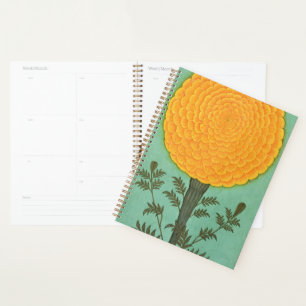 Agenda Álbum de Clive Pequeño A Marigold