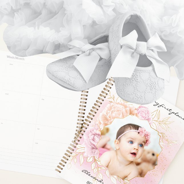 Agenda Album De Crapbook De Shabby Chic Baby Girl First Y (Subido por el creador)
