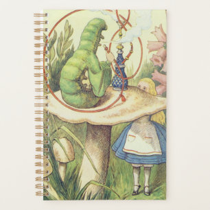 Agenda Alice se reúne con la oruga
