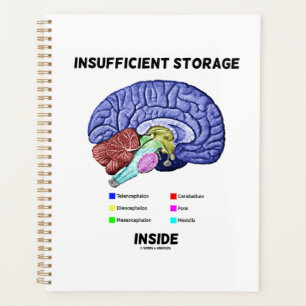 Agenda Almacenamiento Insuficiente Dentro Anatomía del Ce