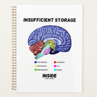 Agenda Almacenamiento Insuficiente Dentro Anatomía del Ce