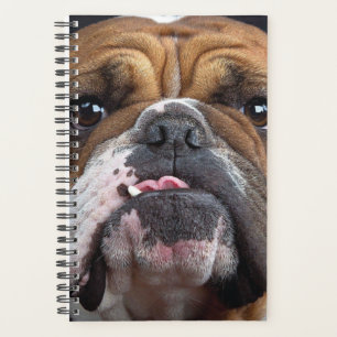 Agenda Almohada de inglés bulldog