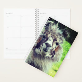 Agenda Alpaca