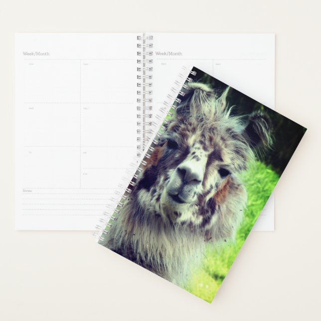 Agenda Alpaca (Demostración)