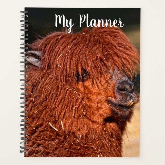 Agenda Alpaca (Anverso)